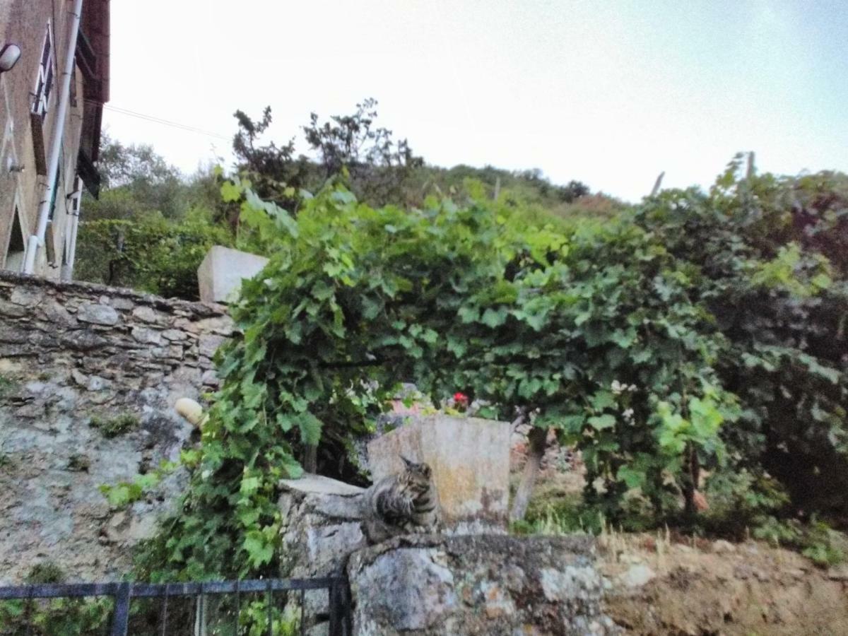 Casa Quaratica Apartment Ricco del Golfo di Spezia Bagian luar foto